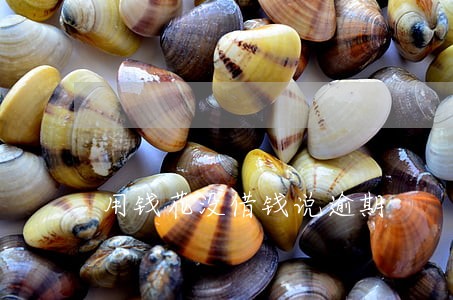用钱花没借钱说逾期 用钱花没借钱说逾期