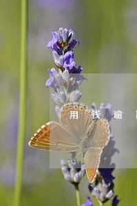 用钱逾期短信 用钱逾期短信