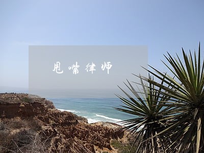甩嘴律师 甩嘴律师