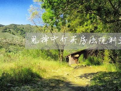 甩掉中介买房法院判业主免责