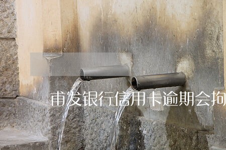 甫发银行信用卡逾期会拘留吗