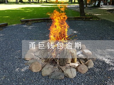 甬巨钱包逾期 甬巨钱包逾期