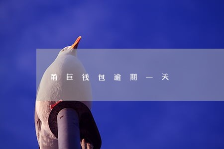 甬巨钱包逾期一天