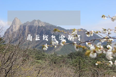 甬巨钱包逾期了 甬巨钱包逾期了