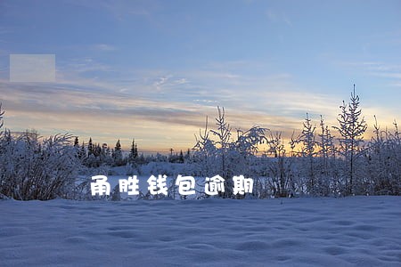 甬胜钱包逾期 甬胜钱包逾期