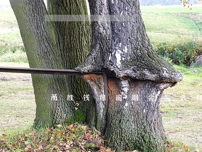 甬胜钱包逾期会怎么样 甬胜钱包逾期会怎么样