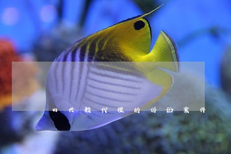 田兴敏代理的诉讼案件 田兴敏代理的诉讼案件