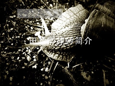 田慧卿律师简介 田慧卿律师简介