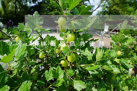 田林街道债务律师 田林街道债务律师