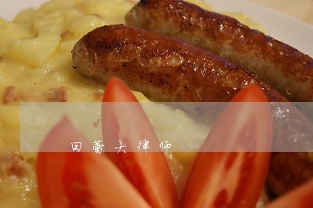 田蕾大律师 田蕾大律师