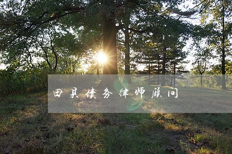 田贝债务律师顾问 田贝债务律师顾问