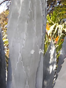 田阳养殖场搬迁律师