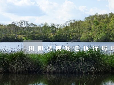 田阳法院现任执行局局长 田阳法院现任执行局局长