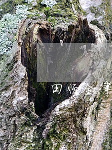 田顺全律师解答了自离有什么后果