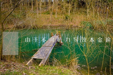 由于不可抗力导致本金逾期 由于不可抗力导致本金逾期