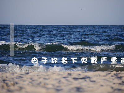 由于你名下欠款严重逾期 由于你名下欠款严重逾期