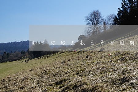 由于你的欠款已严重逾期