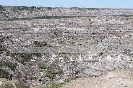 由于保险业务用信用卡逾期 由于保险业务用信用卡逾期