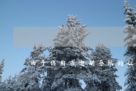 由于信用卡逾期导致的征信