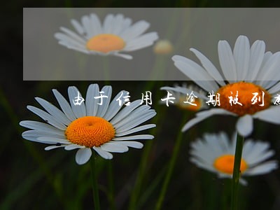 由于信用卡逾期被列为失信人 由于信用卡逾期被列为失信人