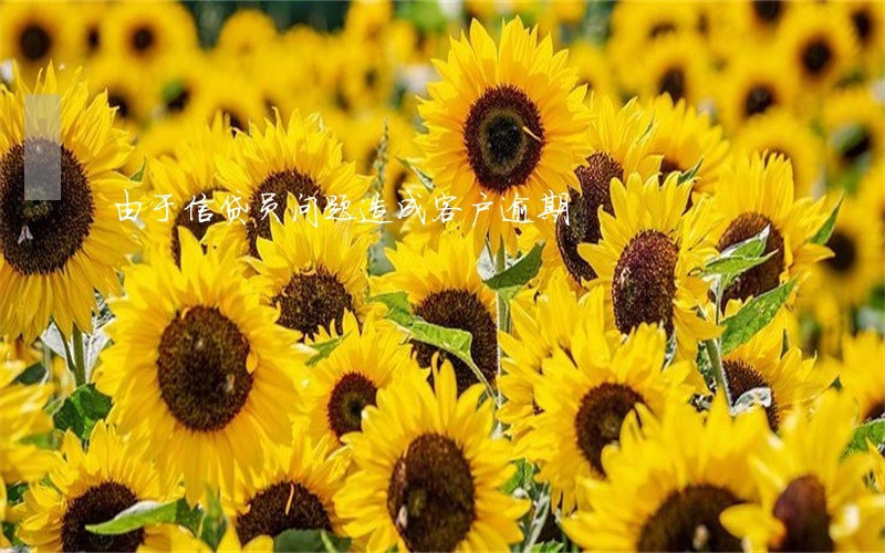 由于信贷员问题造成客户逾期 由于信贷员问题造成客户逾期