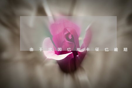 由于出国信用卡征信逾期了怎么办