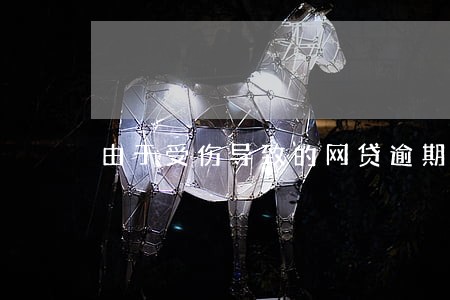 由于受伤导致的网贷逾期