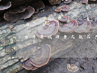 由于商城消费欠款已严重逾期 由于商城消费欠款已严重逾期