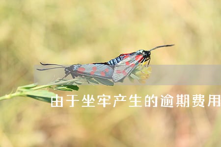 由于坐牢产生的逾期费用怎么判 由于坐牢产生的逾期费用怎么判