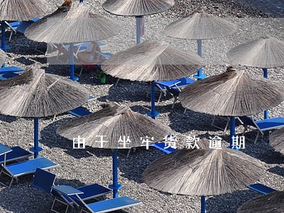 由于坐牢货款逾期 由于坐牢货款逾期