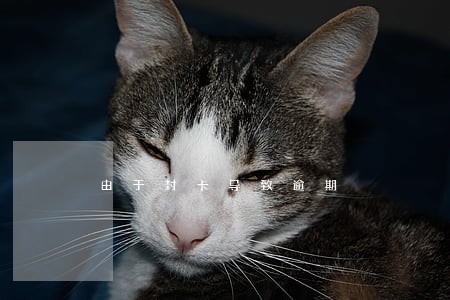 由于封卡导致逾期 由于封卡导致逾期