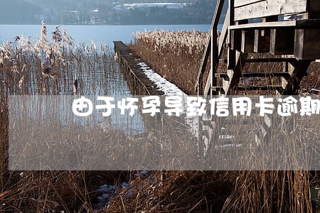 由于怀孕导致信用卡逾期 由于怀孕导致信用卡逾期