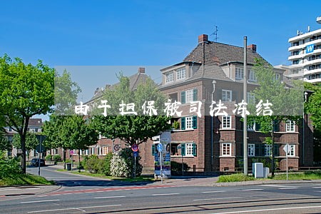 由于担保被司法冻结 由于担保被司法冻结