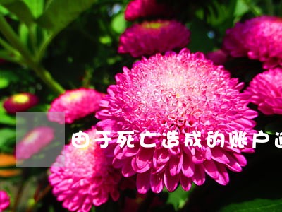 由于死亡造成的账户逾期 由于死亡造成的账户逾期