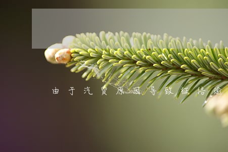 由于汽贸原因导致征信逾期 由于汽贸原因导致征信逾期