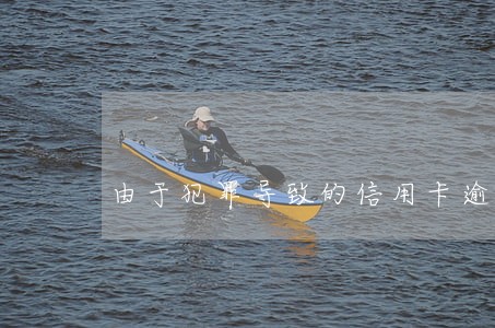 由于犯罪导致的信用卡逾期 由于犯罪导致的信用卡逾期