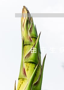 由于生病1年信用卡逾期1年 由于生病1年信用卡逾期1年