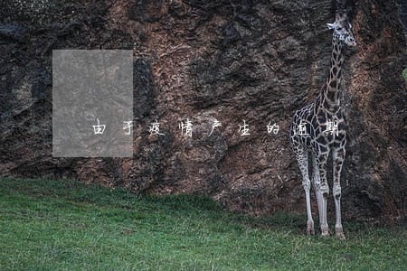 由于疫情产生的逾期 由于疫情产生的逾期