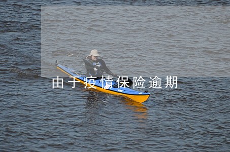 由于疫情保险逾期 由于疫情保险逾期