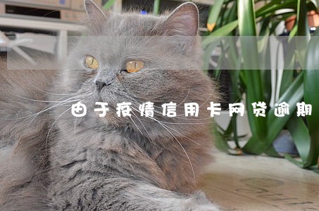 由于疫情信用卡网贷逾期 由于疫情信用卡网贷逾期