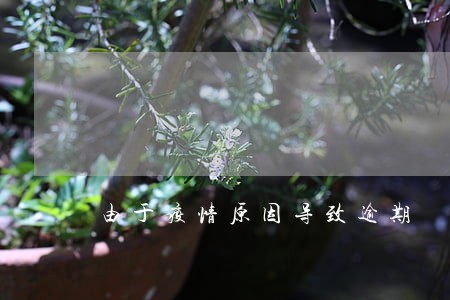 由于疫情原因导致逾期
