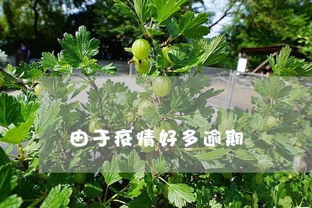 由于疫情好多逾期 由于疫情好多逾期