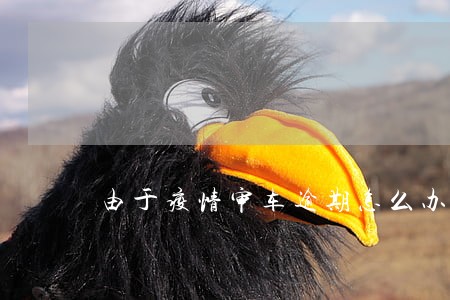 由于疫情审车逾期怎么办 由于疫情审车逾期怎么办