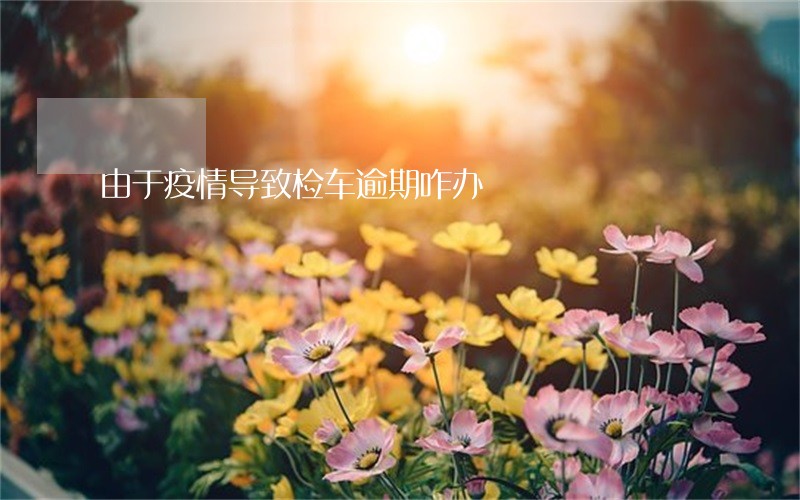 由于疫情导致检车逾期咋办 由于疫情导致检车逾期咋办