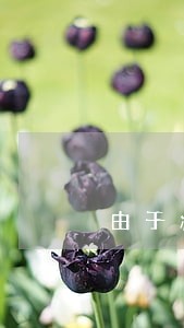 由于疫情导致的订单发货逾期 由于疫情导致的订单发货逾期