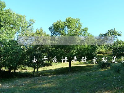 由于疫情导致逾期还款 由于疫情导致逾期还款