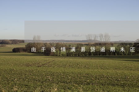 由于疫情满易贷逾期未还会怎样 由于疫情满易贷逾期未还会怎样