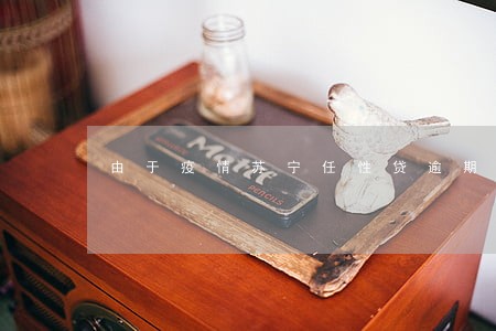 由于疫情苏宁任性贷逾期了 由于疫情苏宁任性贷逾期了