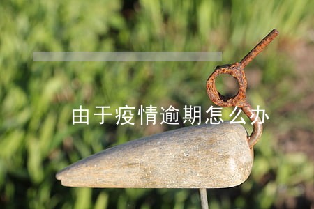 由于疫情逾期怎么办 由于疫情逾期怎么办