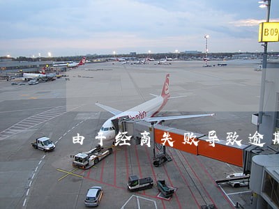 由于经商失败导致逾期 由于经商失败导致逾期